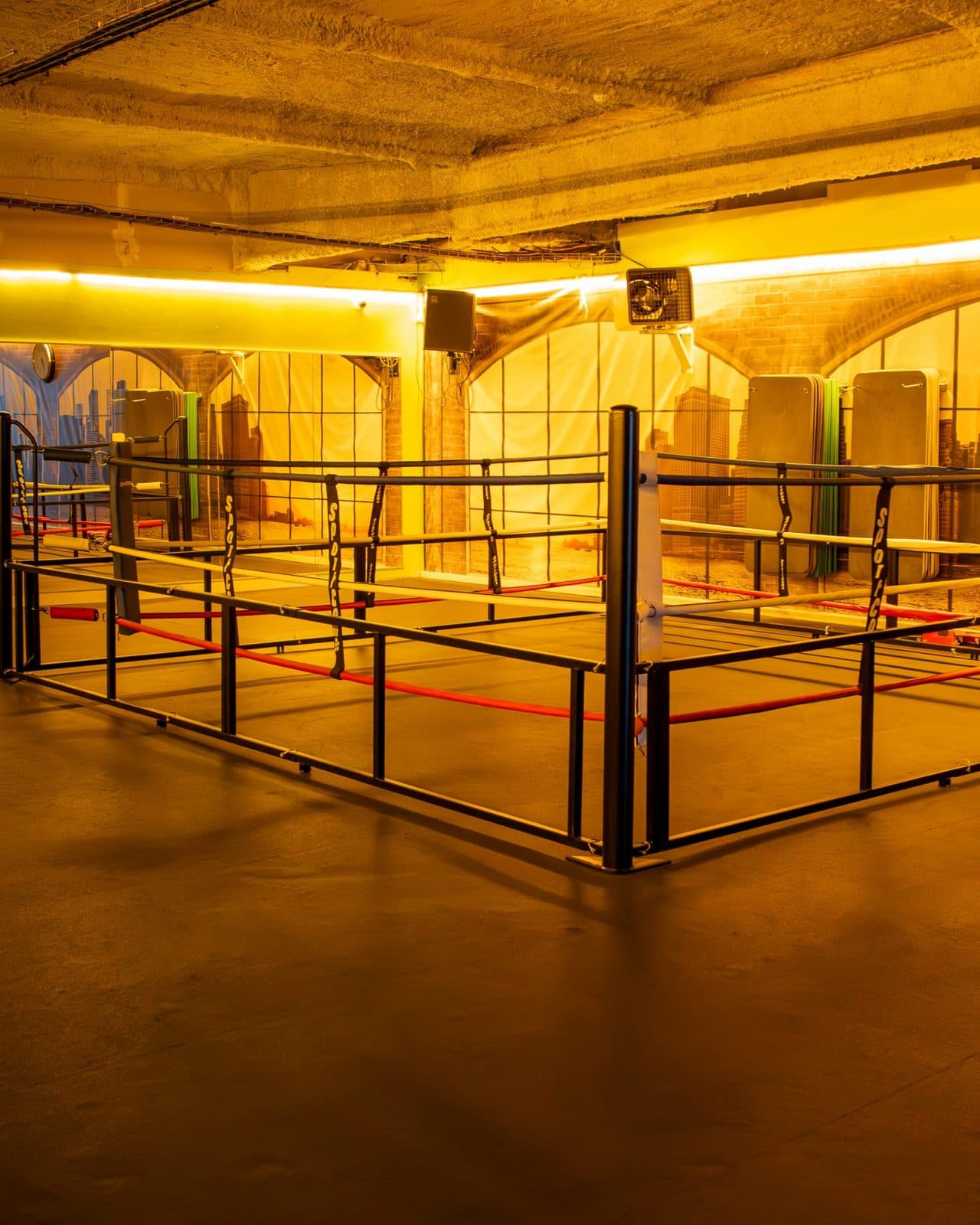 Espace Cross-training & boxing 3